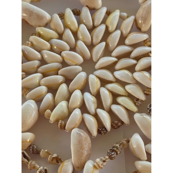 Late 20th Century Natural Cowrie Shell Wall Decor - Picture 8 of 8